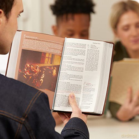 Nkjv, Abide Bible, Leathersoft, Stone [KSIĄŻKA]