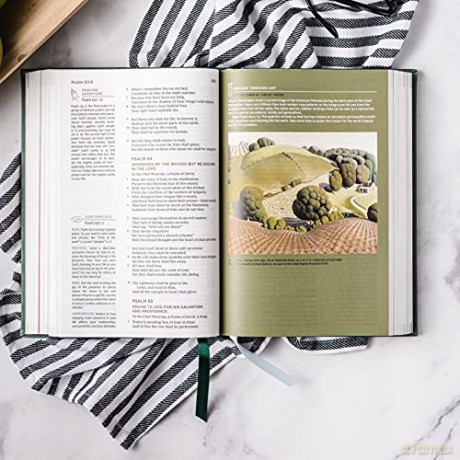 Nkjv, Abide Bible, Leathersoft, Stone [KSIĄŻKA]