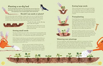 No Dig Childrens Gardening Book - Charles Dowding [KSIĄŻKA]