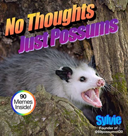 No Thoughts Just Possums - Sylvie [KSIĄŻKA]