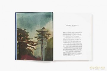 Noah Davis In Detail - Noah Davis Helen Mo [KSIĄŻKA]