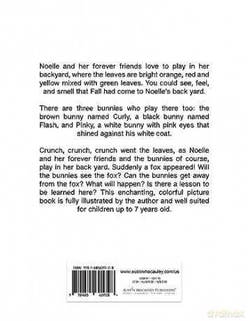 Noelles Forever Friends - Nancy Jane [KSIĄŻKA]