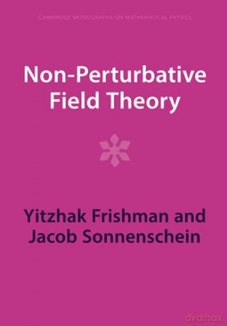 Non-Perturbative Field Theory - Frishman Yitzhak [KSIĄŻKA]