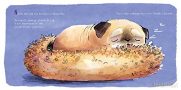 Noodle Conquers Comfy Mountain - Jonathan Graziano [KSIĄŻKA]