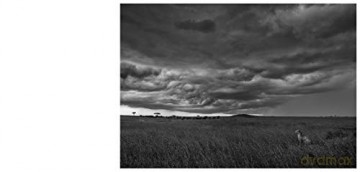 Nor Dread Nor Hope Attend - David Gulden [KSIĄŻKA]