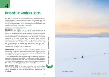 Northern Lights - Polly Evans [KSIĄŻKA]