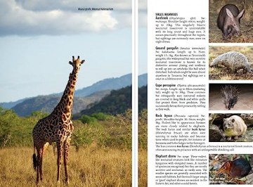 Northern Tanzania Safari Guide - Philip Briggs [KSIĄŻKA]