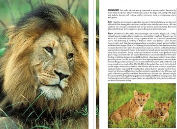 Northern Tanzania Safari Guide - Philip Briggs [KSIĄŻKA]