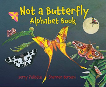Not A Butterfly Alphabet Book - Jerry Pallotta [KSIĄŻKA]