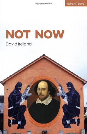 Not Now - David Ireland [KSIĄŻKA]