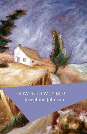 Now In November - Josephine Johnson [KSIĄŻKA]