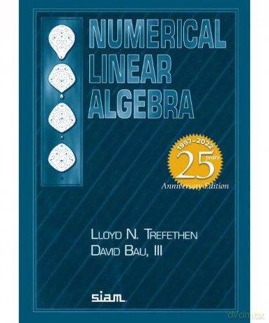 Numerical Linear Algebra 25th Ed Ot181 - Trefethen Bau [KSIĄŻKA]