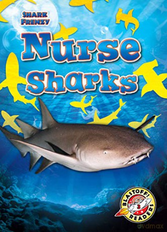 Nurse Sharks - Rebecca Pettiford [KSIĄŻKA]