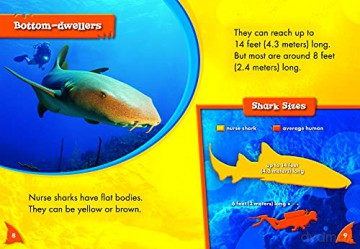 Nurse Sharks - Rebecca Pettiford [KSIĄŻKA]