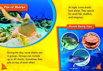 Nurse Sharks - Rebecca Pettiford [KSIĄŻKA]