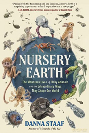 Nursery Earth - Danna Staaf [KSIĄŻKA]