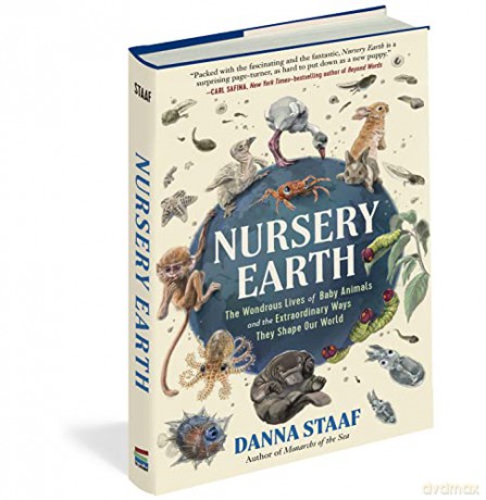 Nursery Earth - Danna Staaf [KSIĄŻKA]