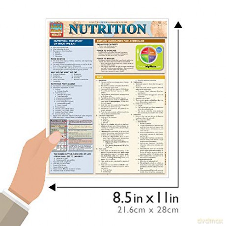 Nutrition - Lucille Beseler [KSIĄŻKA]