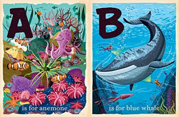 O Is For Ocean - Greg Paprocki [KSIĄŻKA]