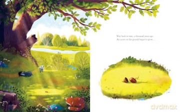 Oak Tree - Julia Donaldson [KSIĄŻKA]