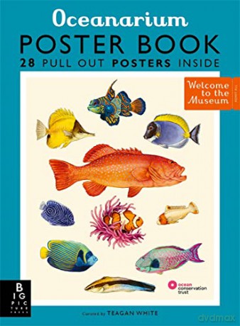 Oceanarium Poster Book - Loveday Trinick [KSIĄŻKA]