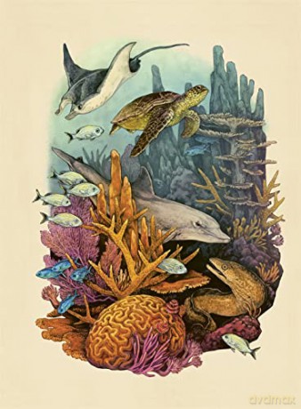 Oceanarium Poster Book - Loveday Trinick [KSIĄŻKA]