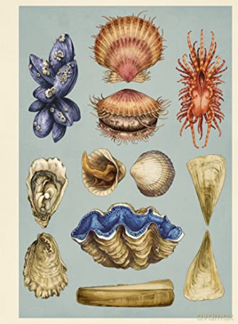 Oceanarium Poster Book - Loveday Trinick [KSIĄŻKA]