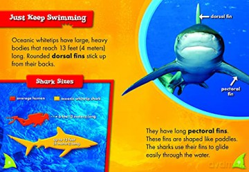 Oceanic Whitetip Sharks - Thomas Adamson [KSIĄŻKA]