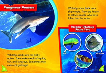 Oceanic Whitetip Sharks - Thomas Adamson [KSIĄŻKA]