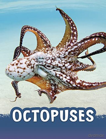 Octopuses - Jaclyn Jaycox [KSIĄŻKA]