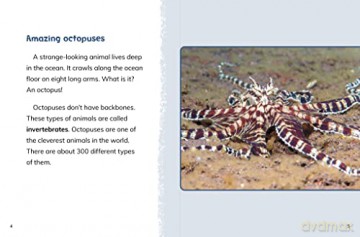 Octopuses - Jaclyn Jaycox [KSIĄŻKA]