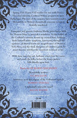 Of Judgement Fallen - Steven Veerapen [KSIĄŻKA]