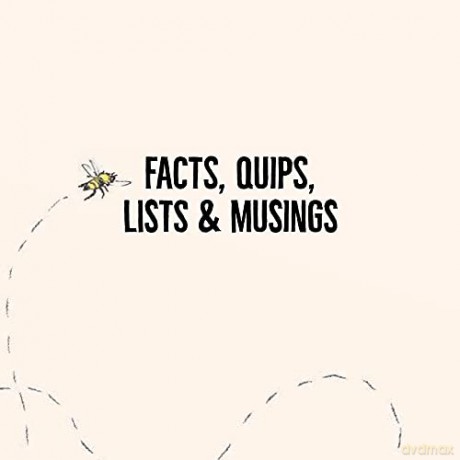 Omfg Bees - Matt Kracht [KSIĄŻKA]