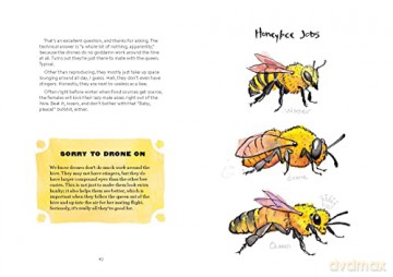 Omfg Bees - Matt Kracht [KSIĄŻKA]