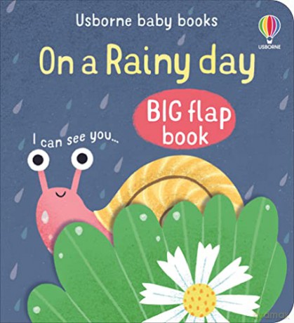 On A Rainy Day Big Flap Book - Mary Cartwright [KSIĄŻKA]