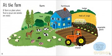 On The Farm - Amy Johnson [KSIĄŻKA]