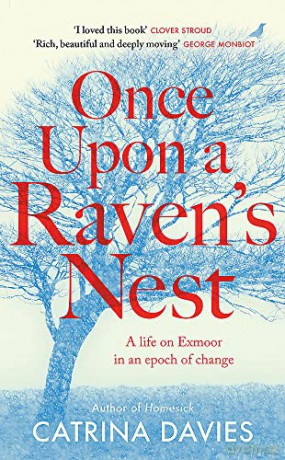 Once Upon A Ravens Nest - Catrina Davies [KSIĄŻKA]