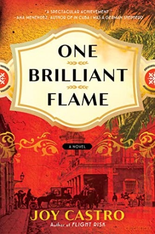 One Brilliant Flame - Joy Castro [KSIĄŻKA]