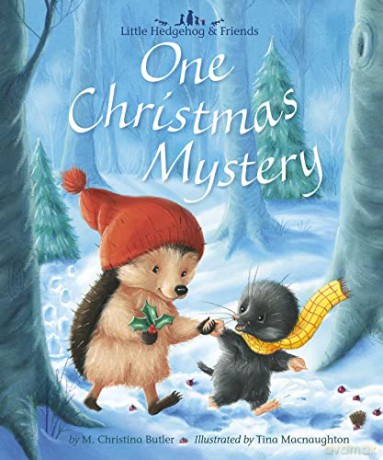 One Christmas Mystery - M. Christina Butler [KSIĄŻKA]