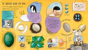 One Little Egg - Becky Davies [KSIĄŻKA]