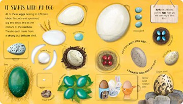 One Little Egg - Becky Davies [KSIĄŻKA]
