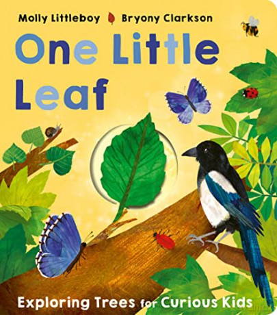 One Little Leaf - Molly Littleboy [KSIĄŻKA]