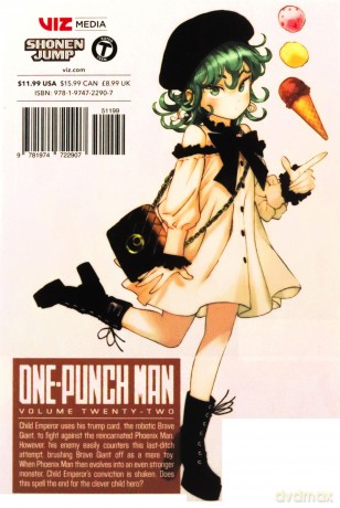One Punch Man Vol 22 [KSIĄŻKA]