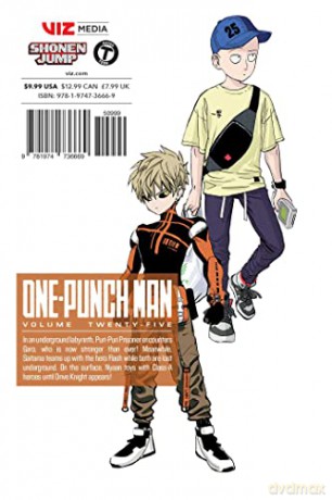 One Punch Man Vol 25 [KSIĄŻKA]