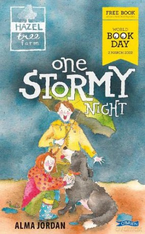 One Stormy Night - Alma Jordan [KSIĄŻKA]