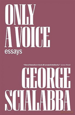 Only A Voice - George Scialabba [KSIĄŻKA]