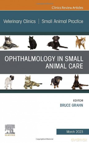 Ophthalmology In Small Animal Care An Is - Bruce H. Grahn [KSIĄŻKA]