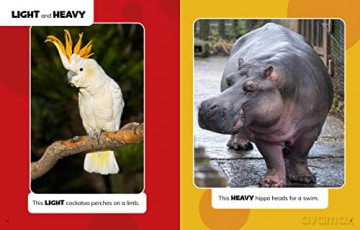Opposites At The Zoo - Christianne Jones [KSIĄŻKA]