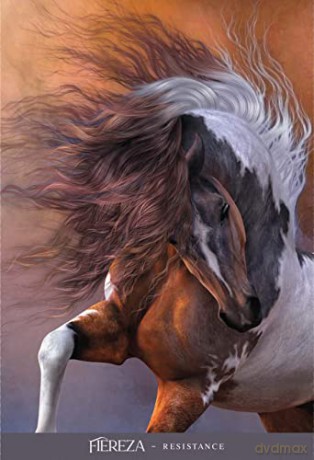 Oracle Of The Sacred Horse - Kathy Pike [KSIĄŻKA]
