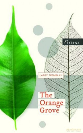 Orange Grove The [KSIĄŻKA]